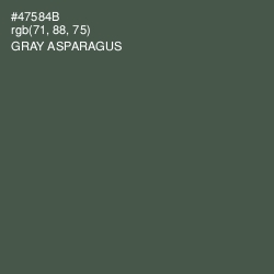 #47584B - Gray Asparagus Color Image